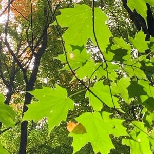 Meet your Posher, Jade